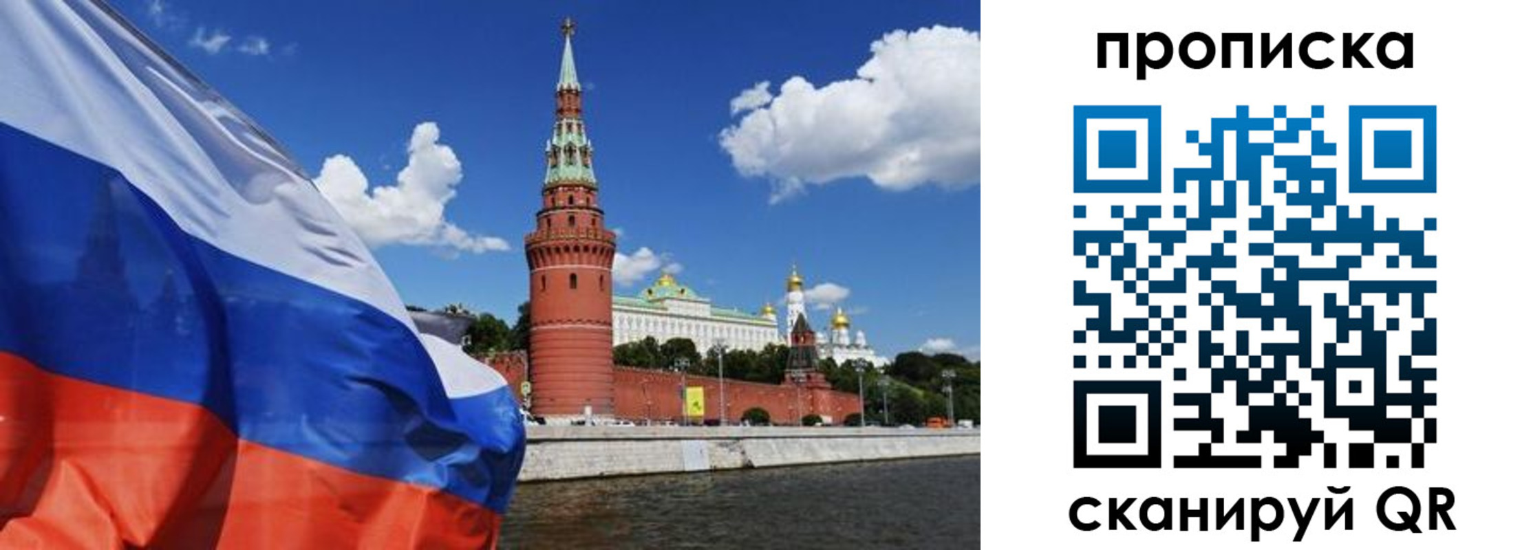 форма 3 в Камчатской области